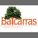 Gallery Image Balcarras School